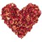 200 Grams Dried Rose Petals for Bath, Candle Making, Resin, DIY Crafts, Flower Confetti